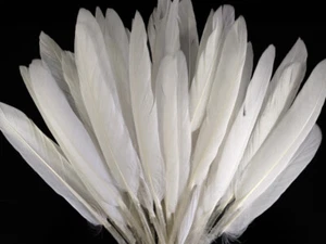 500 Feathers - White Duck Cochettes Loose Wholesale Bulk Wing Quill Wedding - Picture 1 of 10