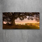 Tulup Acrylic Glass Print Wall Art Image 120x60cm - Old tree