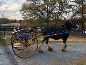 Meadowbrook Horse Cart Used Includes 1 horse sized harness in addition to cart.