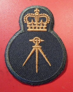 CANADA Canadian Armed Forces trade SURVEYING qualification green badge level 3 - Picture 1 of 1