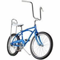 schwinn fenite