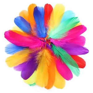 200 Pieces Colorful Feathers for Craft Wedding Home Party Decorations 5-7 Inc... - Picture 1 of 7