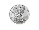1 Troy Oz 9999 Fine Silver 2024 American Eagle Walking Liberty Coin Uncirculated