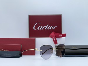 Occhiali da sole da donna polarizzati Cartier | Acquisti Online su eBay