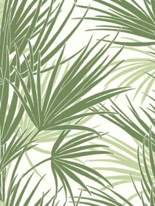 York SS2540 Palmetto Green Wallpaper Palm Fronds Double Roll - Picture 1 of 2