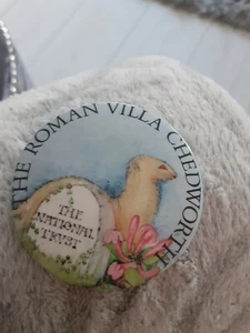 Roman Villa Chedworth Gloucestershire National Trust Vintage Badge - Picture 1 of 2