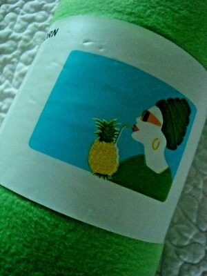 IKEA SPRINGKORN Throw Blanket Fleece Lady Drink Pineapple Green Turquoise Blue  - Image 1 of 4