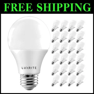 Indoor/Outdoor 24-Pack 9W LED Light Bulbs Dimmable - Picture 1 of 10