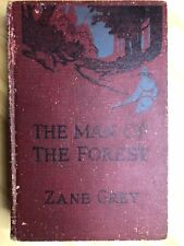 The Man Of The Forest by Zane Grey 1920 Frank Tenney Johnson Illustrator