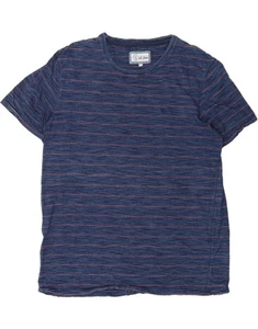 FAT FACE Mens T-Shirt Top 2XL Blue Striped Cotton DR85 - Picture 1 of 3