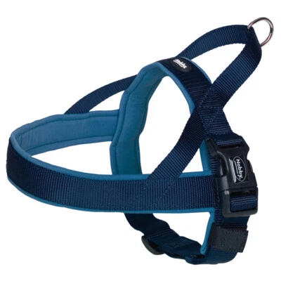 Nobby Norweger Geschirr Classic Preno blau für Hunde, verstellbar, komfortabel
