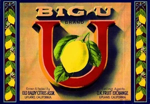 Caja de frutas cítricos de limón Upland Big-U impresión artística - Imagen 1 de 1