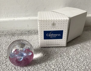 Caithness Sugar Fruits Raspberry Glass Paperweight Pink Paper Weight - Picture 1 of 7