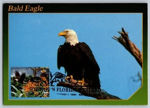 #4099d Southern Florida Wetland Bald Eagle FDC Maxi Card w/Pict Cancel - Picture 1 of 2