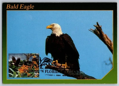 #4099d Southern Florida Wetland Bald Eagle FDC Maxi Card w/Pict Cancel - Image 1 of 2