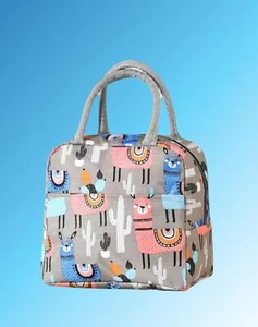 Insulated Lunch Box, Insulated Bag, Work bag, School Bag, Gift - Picture 1 of 1