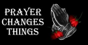 BLESSED LICENSE PLATE LOVE GOD AND JESUS PRAYER WILL NOT RUST - Picture 1 of 1