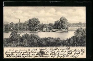 Berlin-Spandau, Eiswerder aus der Vogelschau, Ansichtskarte 1902 - Bild 1 von 2