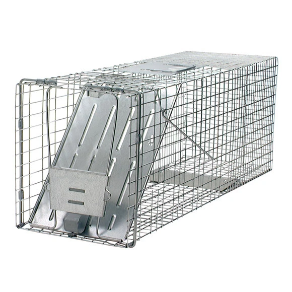 Havahart 1079 Live Animal Trap Raccoons Stray Cats Groundhogs Opossums Armadillo