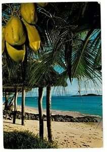 SEYCHELLES - COUSIN FROM ANSE KERLAN 1979 Photo Eden Postcard to UK, 1R FODY - Foto 1 di 2