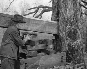 Hombre con prensa de sidra casera antigua 8x10 reimpresión de foto antigua - Imagen 1 de 1