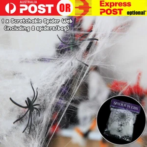Stretchable Spider Web Halloween Spooky Scary Ghost Party Decoration + 2 Spiders - Picture 1 of 8