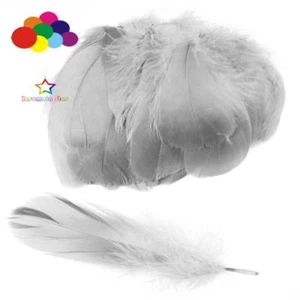 Diy 100 Pcs/Lot Colourful Goose feather 4-7cm 1-2 Inch Stage Props Dream Catcher - Picture 1 of 138