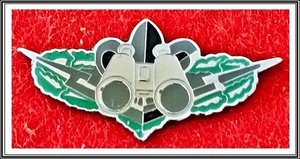 Israel Army IDF Intelligence Corps Senior Intelligence Officers Course pin - Picture 1 of 1