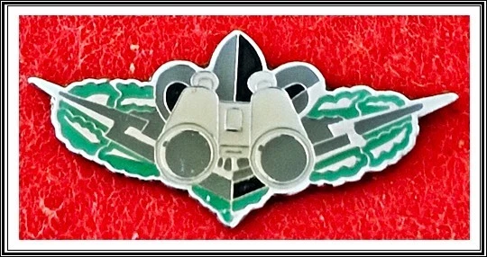 Israel Army IDF Intelligence Corps Senior Intelligence Officers Course pin - Image 1 of 1