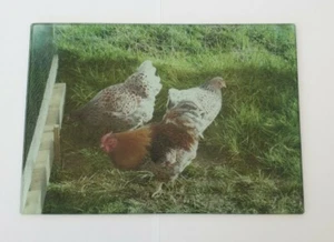 Personalisiert mit beliebigem Namen Hochzeit Küche Glas Schneidebrett Artikel Geschenk  - Bild 1 von 1