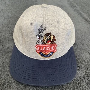 Vintage Looney Tunes Classic 1991 Warner Bros Gray Blue  Strapback Hat Cap USA - Picture 1 of 11