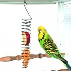 For Parrot Conure Macaw Fruit Foraging Device Feeding Tool Bird Feeder Pet Toy