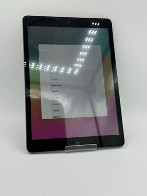 Apple iPad 7. Gen (2019) 10,2 WiFi 32GB Space Grau A2197 Displayschaden #5221 - Bild 1 von 4
