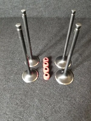 Honda TRX400EX 400X XR400 Kibblewhite válvulas de admisión válvulas de escape sellos STD Foto 1 de 3