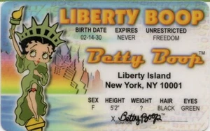 BETTY BOOP LIBERTY ELLIS ISLAND NEW YORK Neuheit Ausweis - NEU - KOSTENLOSER VERSAND - Bild 1 von 1