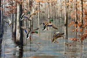 Maynard Reece - Flooded Oaks - Mallards (Top Zustand) S/N Litho signiert - Bild 1 von 1
