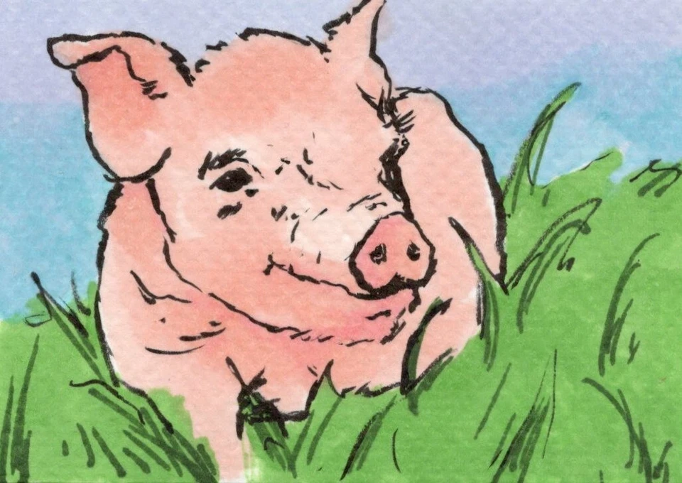 Arte Original ACEO - Lil Piggy - Ilustración de arte animal de granja Kiefer Moore Foto 1 de 1
