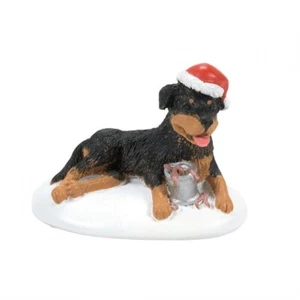 Dept 56 A REGALO PERFECTO PARA SNOTS Navidad Vacaciones Lamponas 6011427 Nuevo 2023 - Imagen 1 de 1