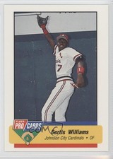 1994 Fleer ProCards Minor League Curtis Williams #3718.1