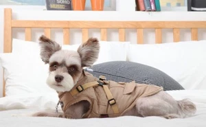 Puppia Wilkes Waterproof Choke Free Integrated Harness Dog Coat Size Small Beige - Picture 1 of 7
