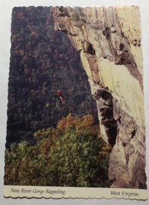 New River Gorge Rappeling in West Virginia. Cartolina postale (C3) - Foto 1 di 2