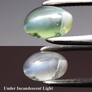 💎 0.63ct Oval Cabochon Natural Green Cat's Eye Alexandrite - Russia Gemstone - Picture 1 of 6