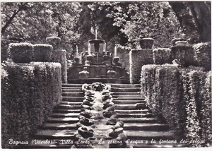 BAGNAIA - VITERBO - VILLA LANTE - CATENA D'ACQUA E LA FONTANA DEI DELFINI -89408 - Picture 1 of 1