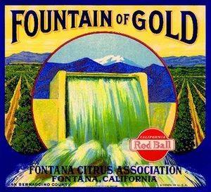 Fontana San Bernardino Fountain of Gold Orange Citrus Fruit Crate Label Print - Picture 1 of 1