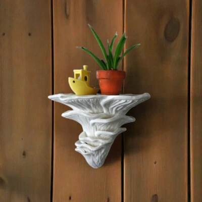 Prateleira de parede branca Pleurotus Djamor cogumelo suporte de exibição - fungo rosa ostra - Imagem 1 de 4