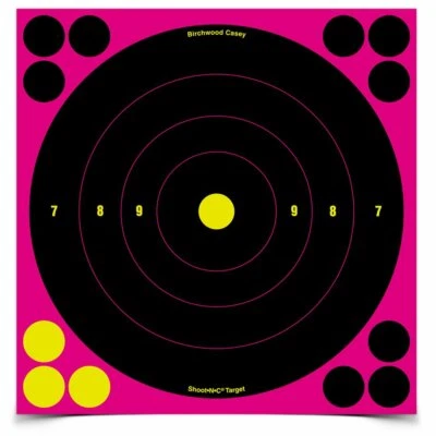Birchwood Casey Shoot-N-C 8" Pink Bull's-eye Target Paquete de 6 Foto 1 de 3