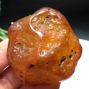 68g Bonsai Suiseki-Natural Gobi Agate Eyes Stone-Rare Stunning Viewing-A10 - Picture 1 of 24