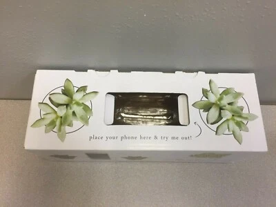 Syndicate Home & Garden Plant Amp 3.75" H x 4" W Glass Stylish Accent Planter - Image 1 of 3