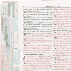 72 Piece Bible Tabs, Colorful Peel and Stick Book Indexing Tags (Pink) - Picture 1 of 7