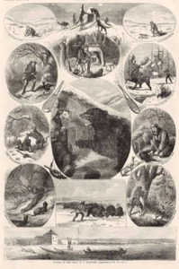 A TRAPPERS LIFE MOOSE BÚFALO PUMA CASTOR OSO CAZA PIELES TRAMPA TRAMPERO 1868 - Imagen 1 de 1